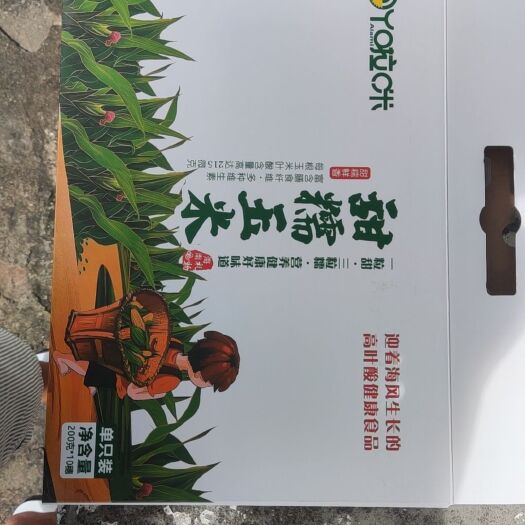 三亚真空包装甜糯玉米