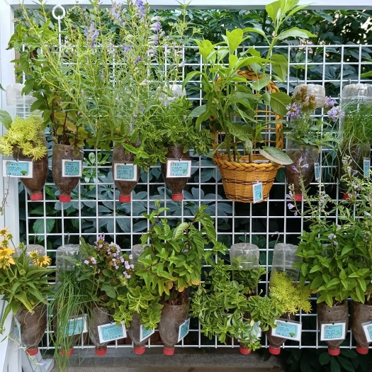 北京北京植物墙设计