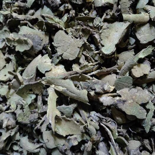 香茶菜批发