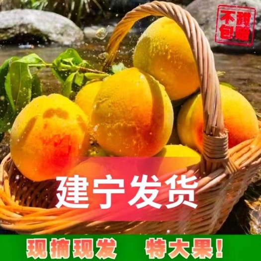 建宁县建宁锦绣黄桃新鲜桃子现摘当季甜多汁
