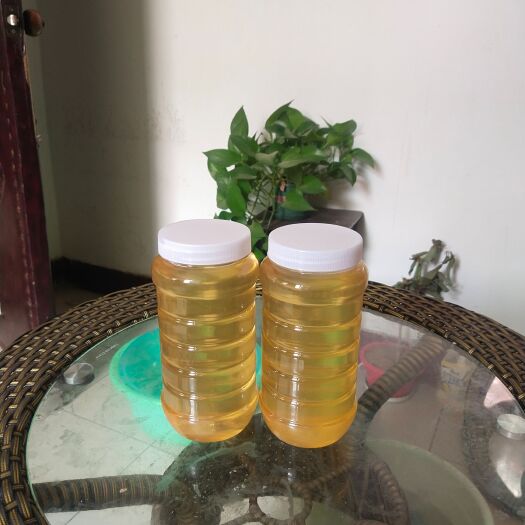 石家庄天然纯蜂蜜（荊花蜜）
