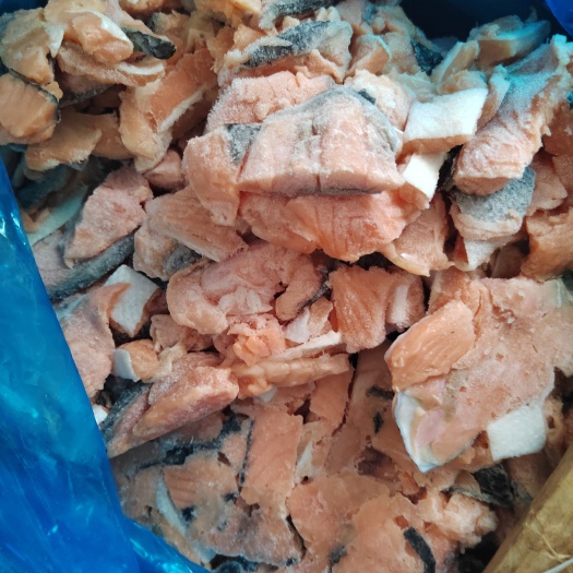 三文鱼碎肉