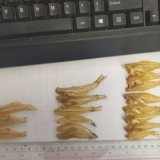 深圳足干精品去头去内脏白凡鱼公鱼干