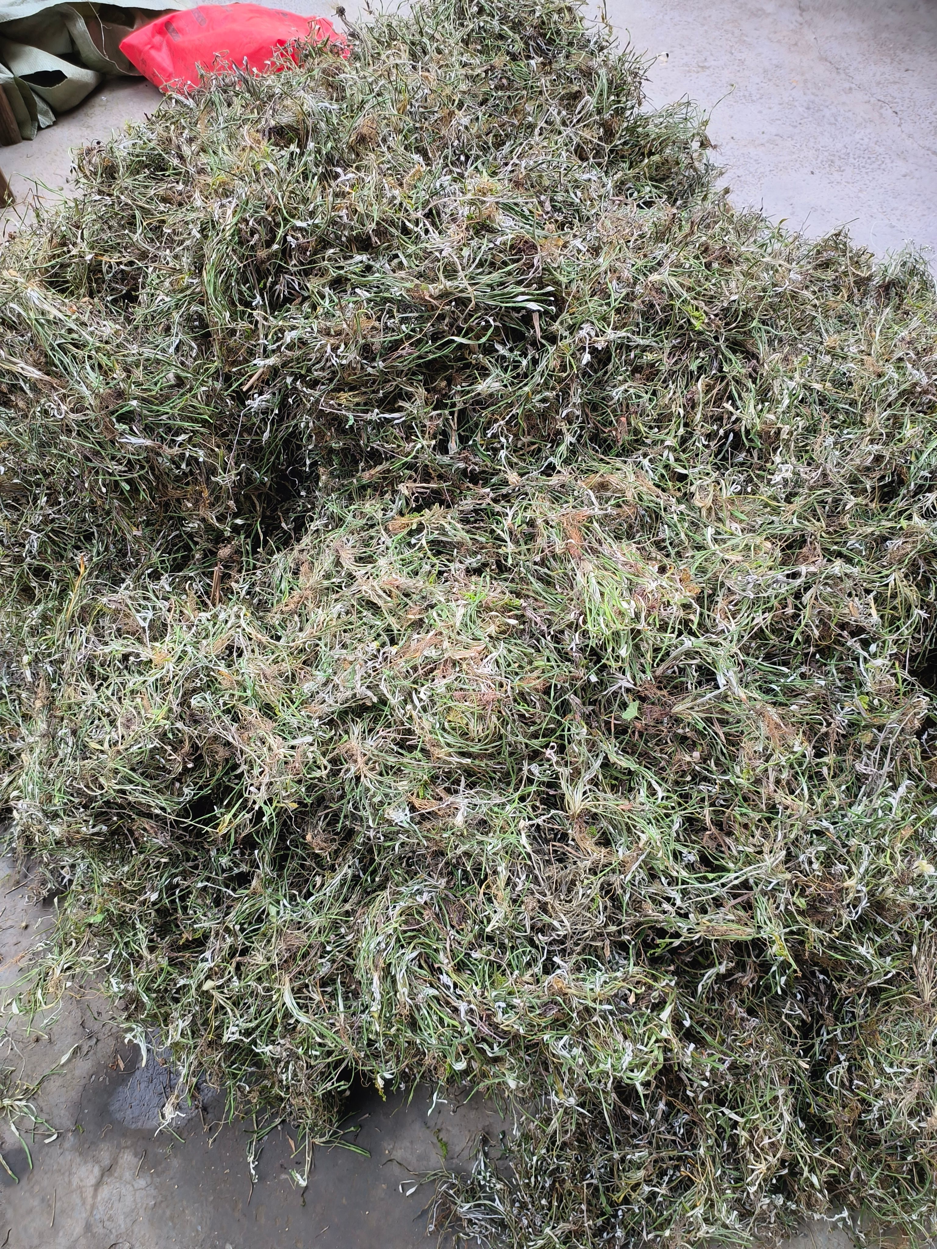 天青地白