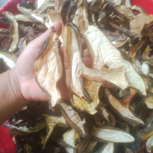 丘北县云南野生黑牛肝
