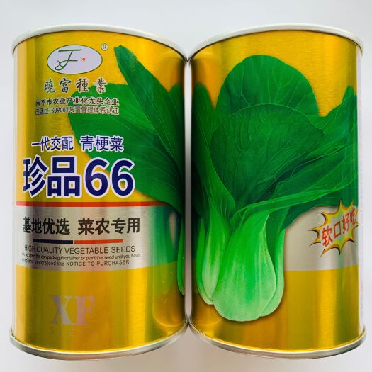 珍品66青梗菜种子耐热耐湿性强束腰青梗菜种子口感好青梗菜种子
