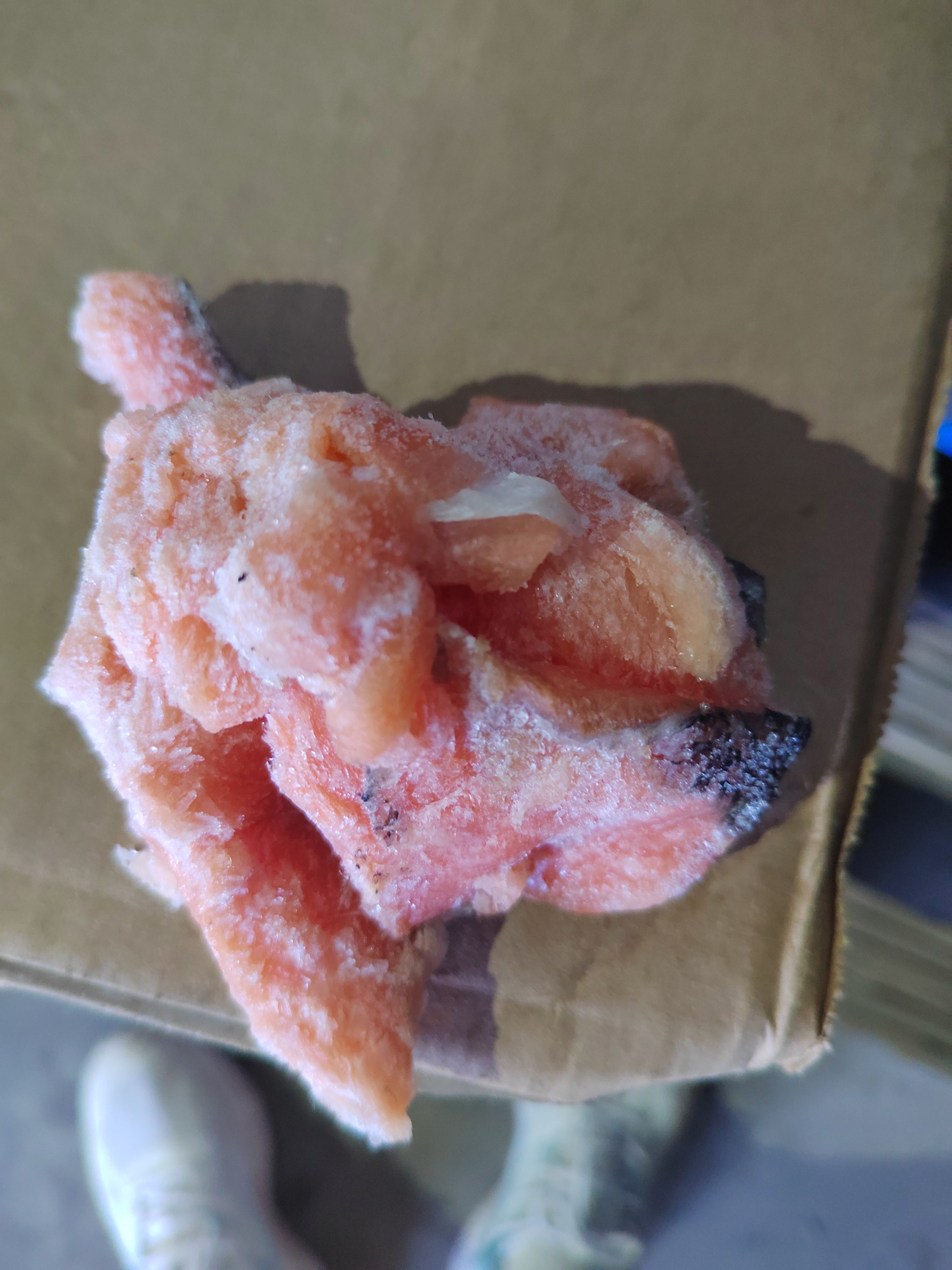 三文鱼碎肉