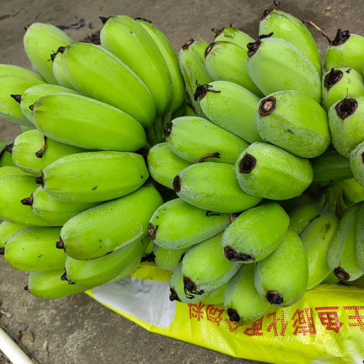 中山市苹果粉蕉