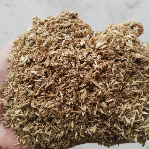 蚌埠金针菇栽培食用菌栽培烘干啤酒糟