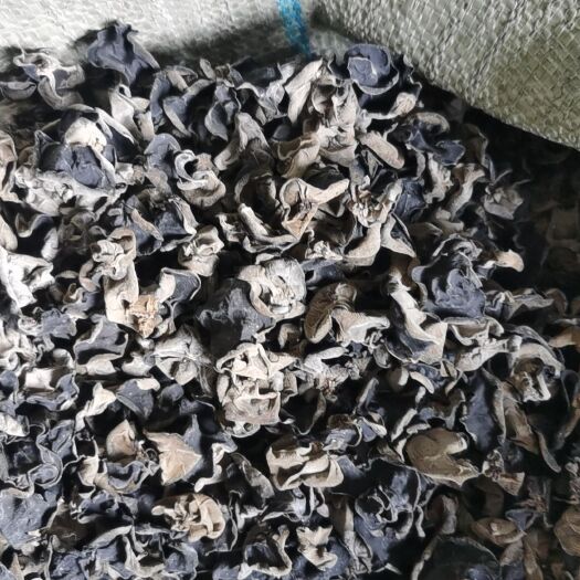 中阳县中阳黑木耳