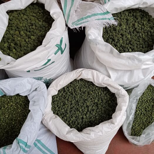 文山市2023新三七花