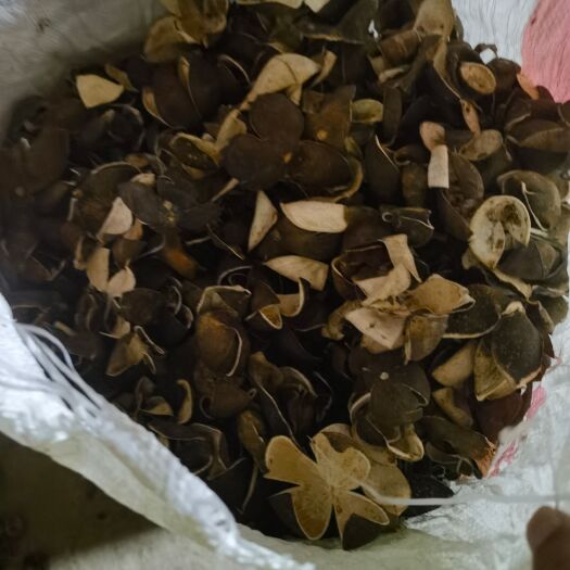 衢州5年四花青皮