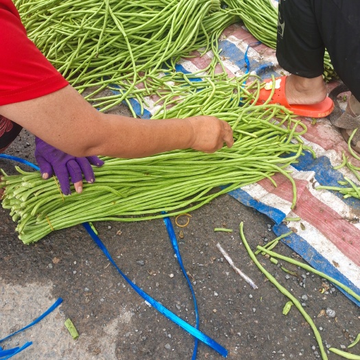 开封开封精品长豆角，长豇豆