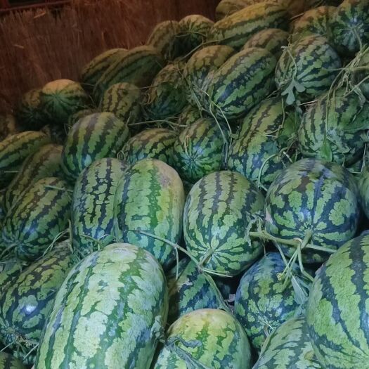 南宁甜王5号西瓜好新鲜口感好