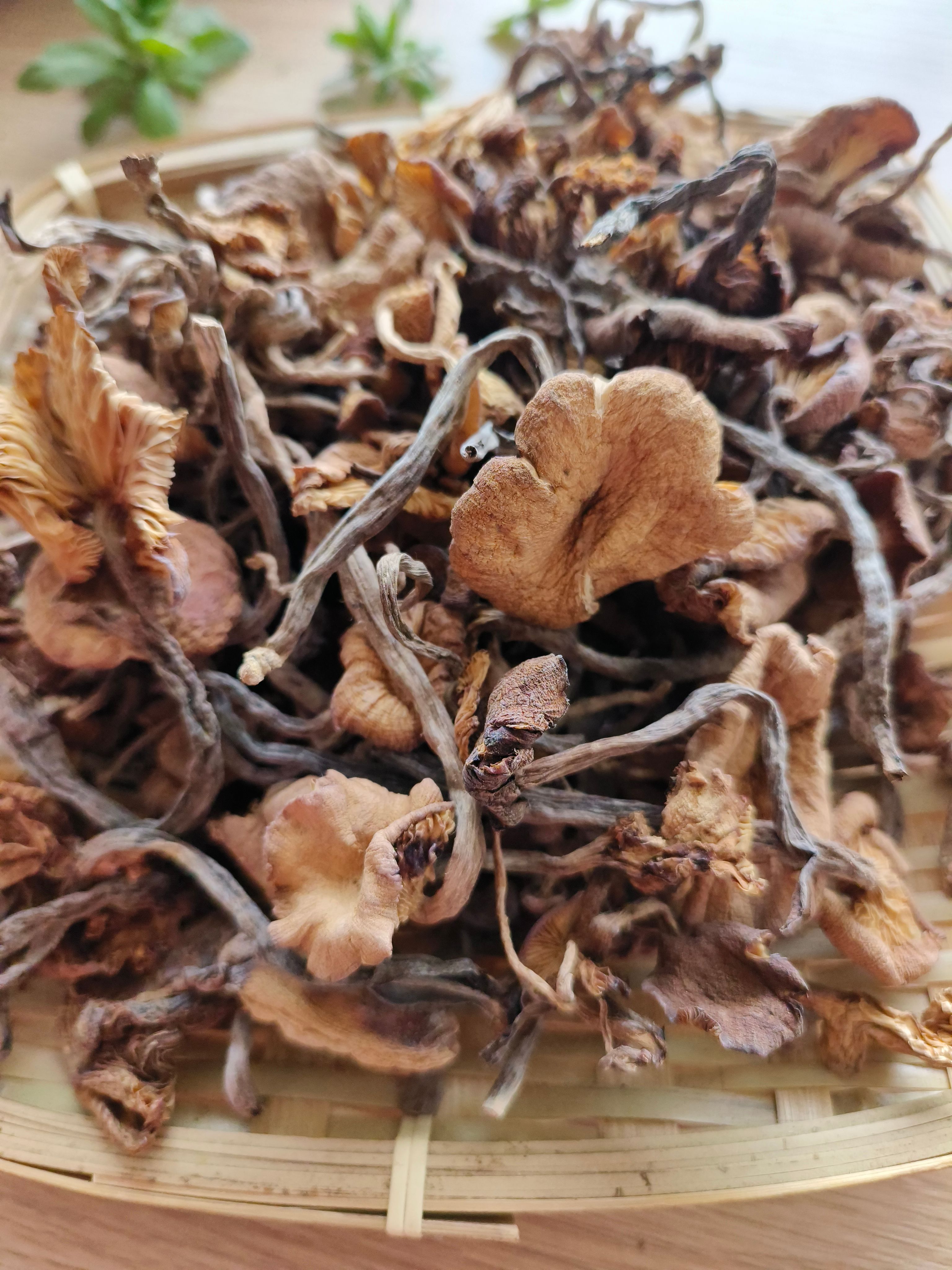 草榛蘑散货原产地厂家批发