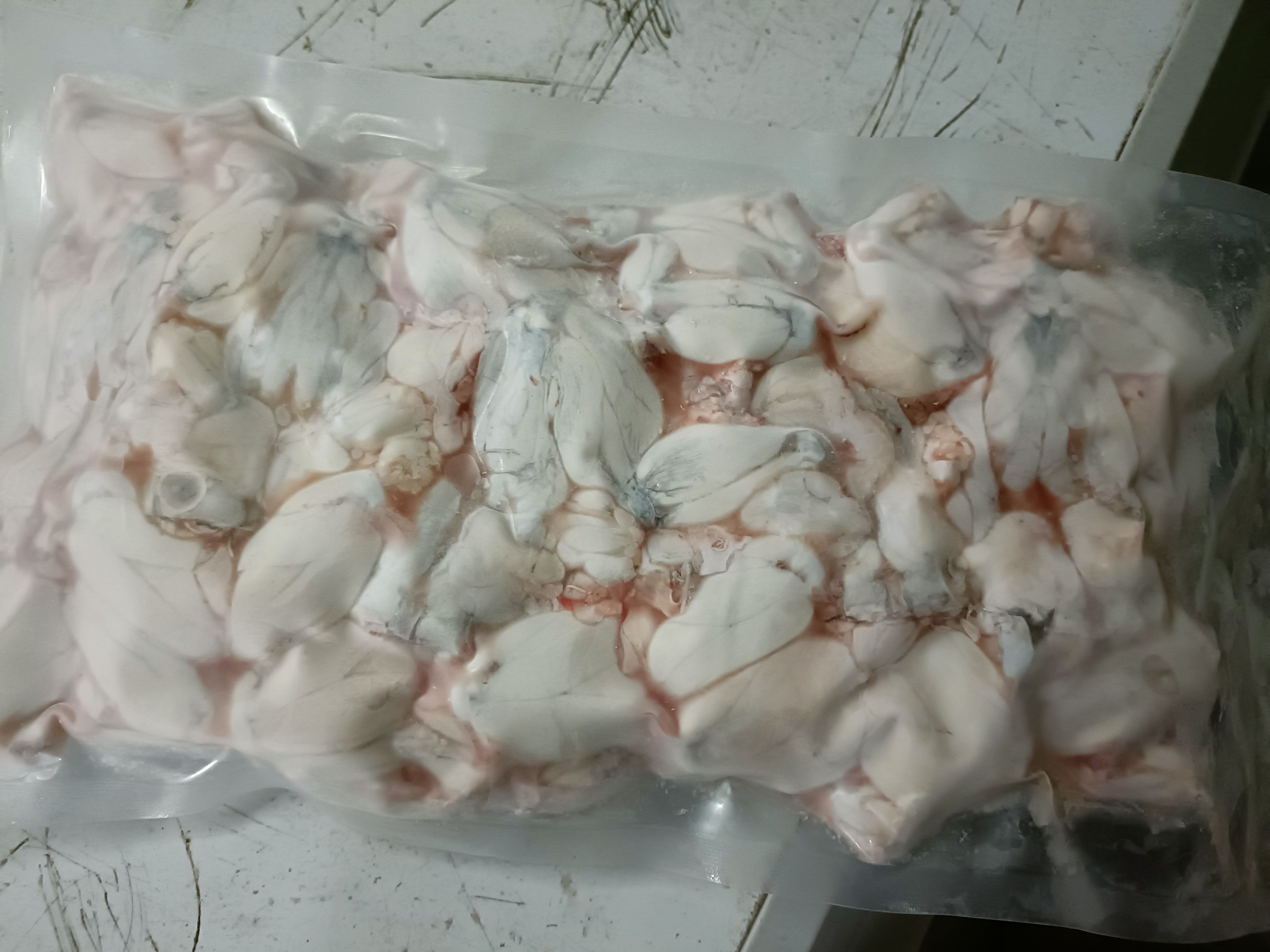 牛蛙，田鸡，批发，鲜活速冻，配送发货