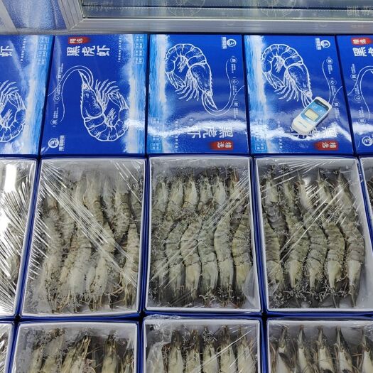 济南黑虎虾