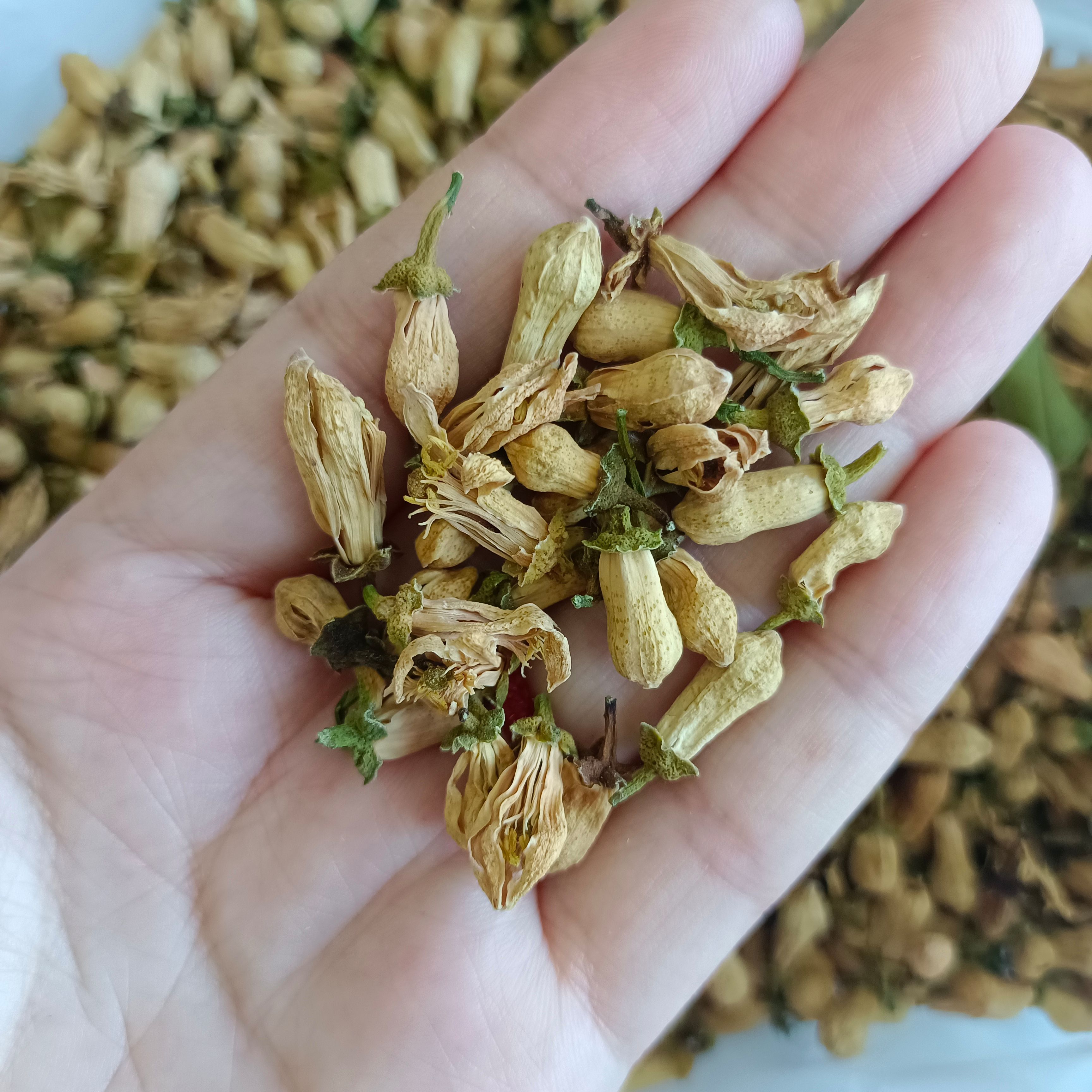 原料中药材优质花草 优质玳玳花 代代花新鲜干货500克
