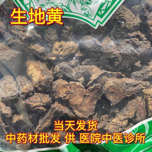 安国市中药材生地又叫生地黄