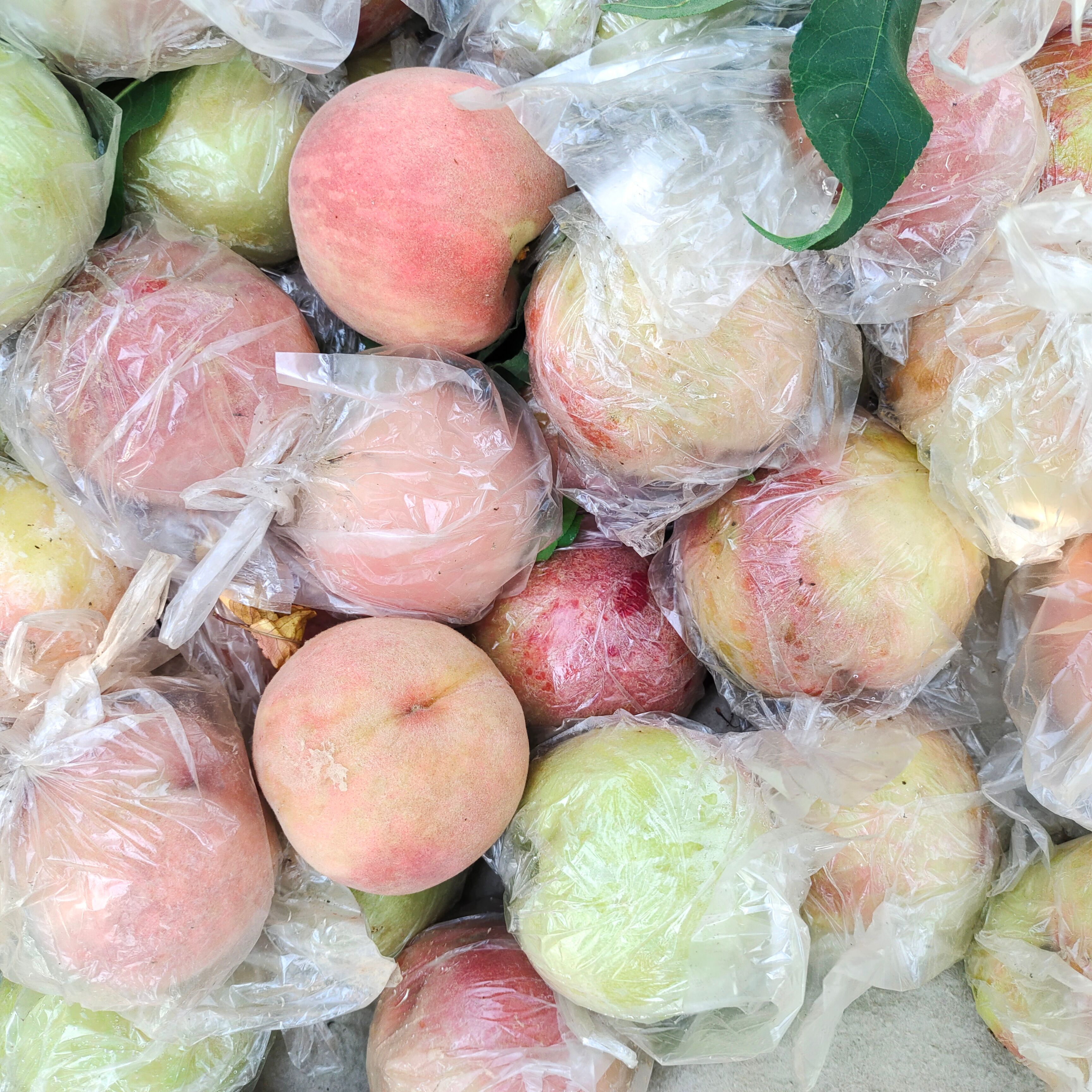 现采摘的桃，48小时之内现摘发货，自家种植纸箱＋泡沫网套