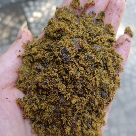 正定县棉籽饼油蛋高 适口性好适合各种反刍 饲料加工育肥效果好