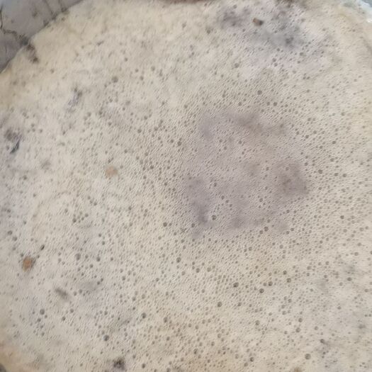 十堰土蜂蜜