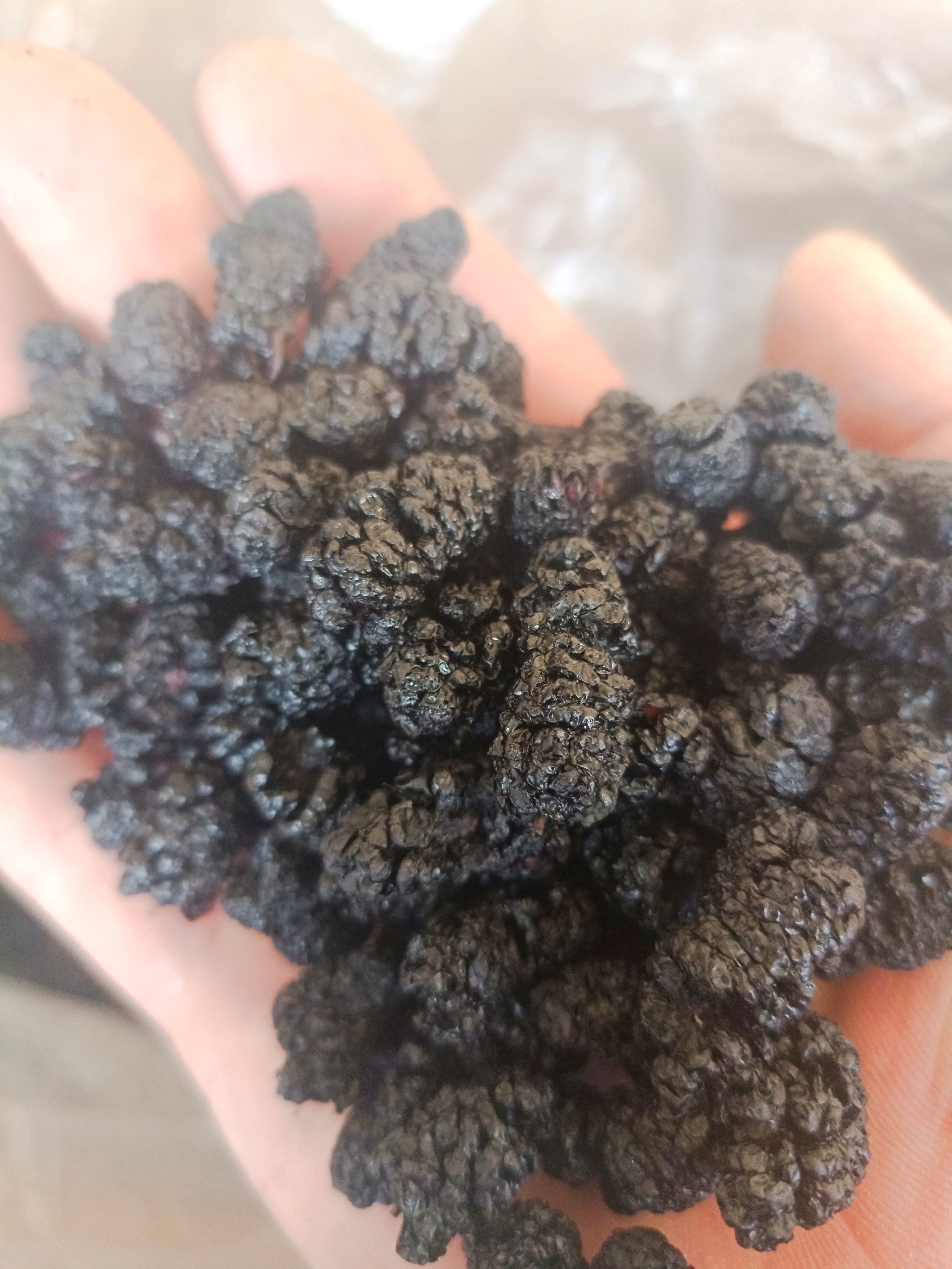 新疆桑椹干，颗大饱满，干货味道好