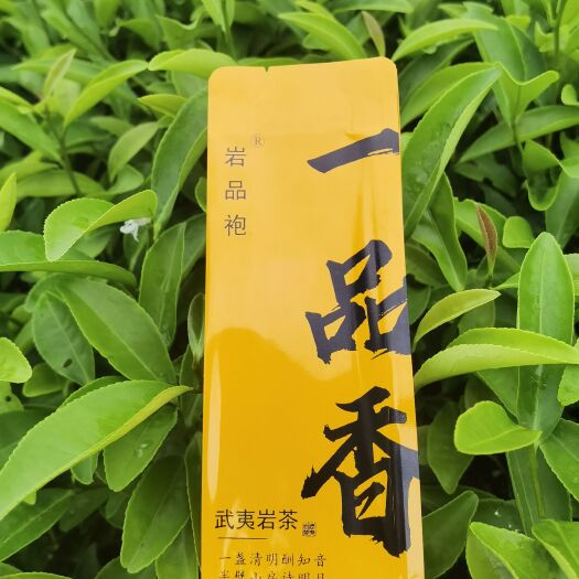 武夷山市岩茶