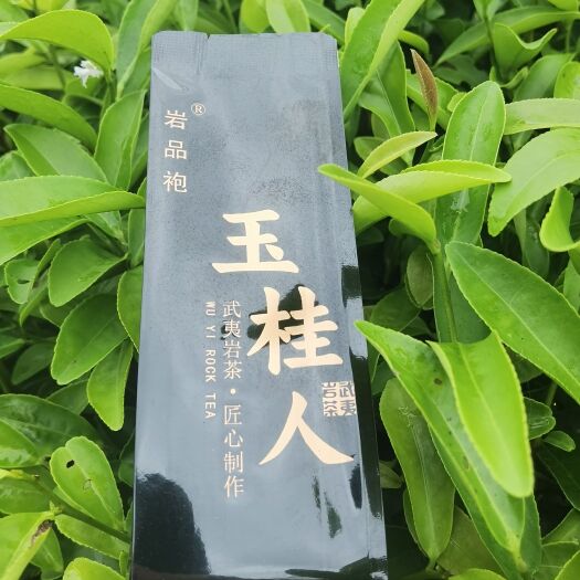 武夷山市岩茶