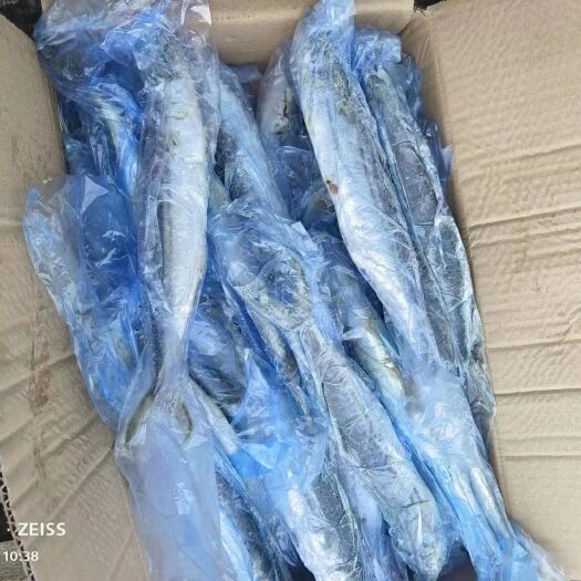 燕鲅鱼，