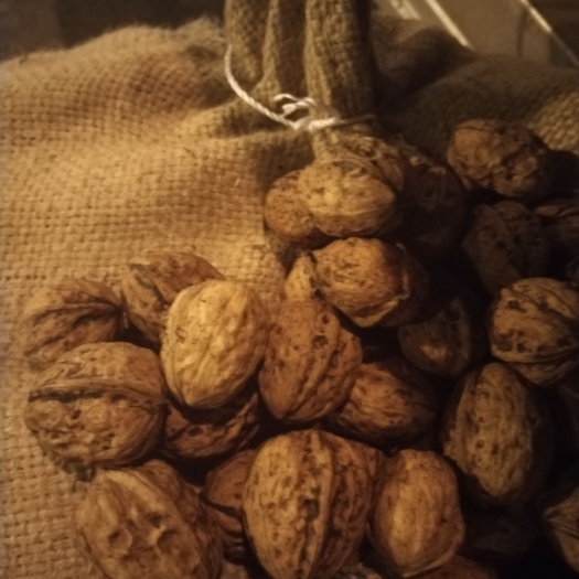 盐源县大优干核桃