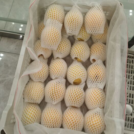 茶陵县茶陵锦绣黄桃