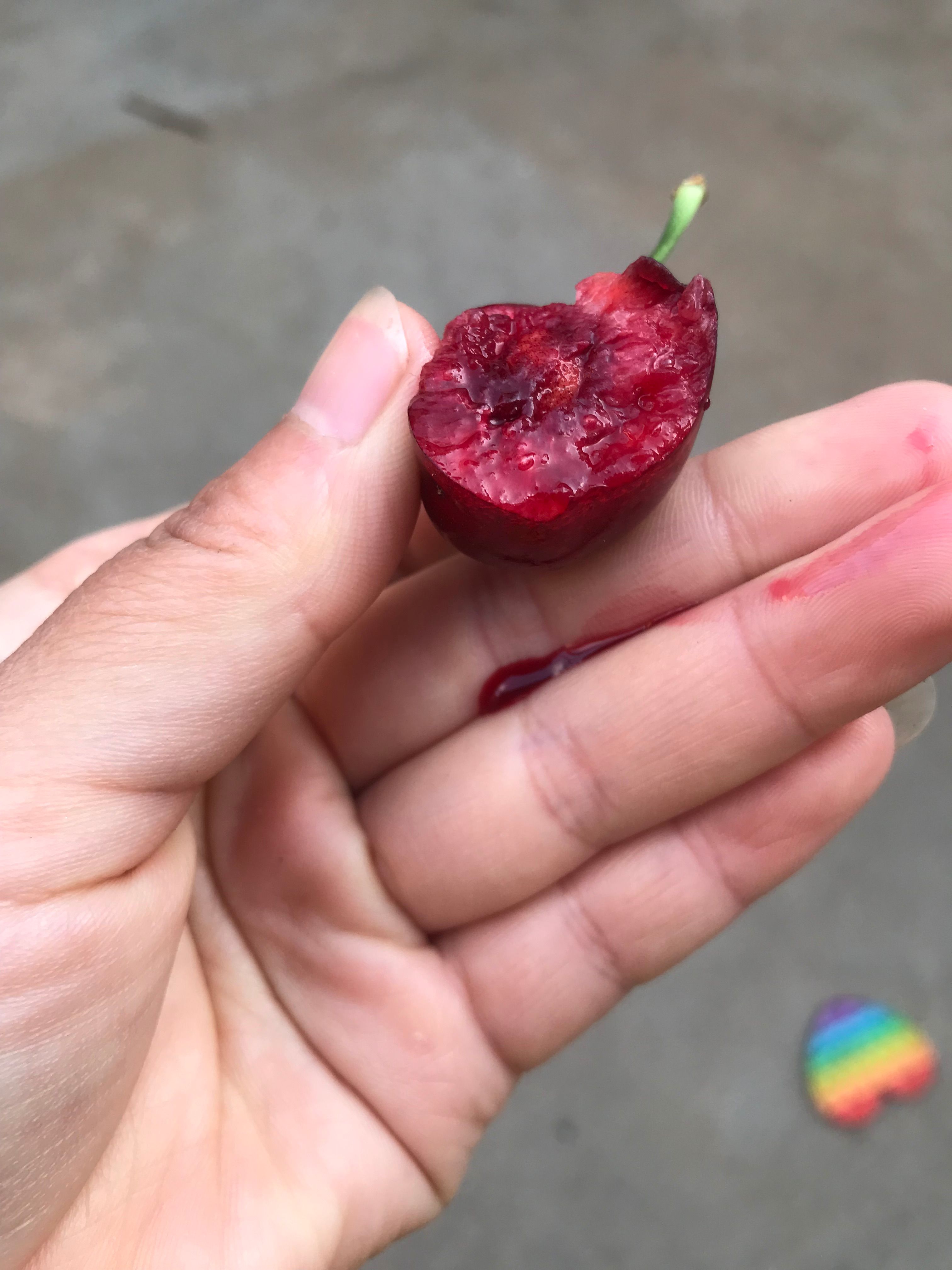 布鲁克斯矮化樱桃苗，火箭，弗里斯科，科迪亚，雷杰娜，品种纯正
