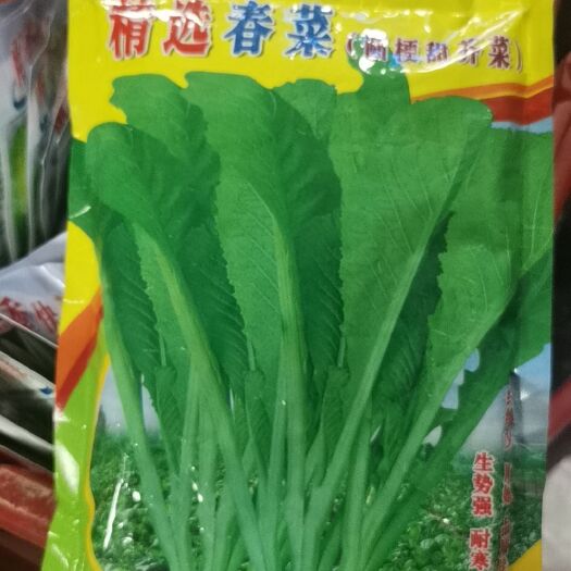博罗县蔬菜种