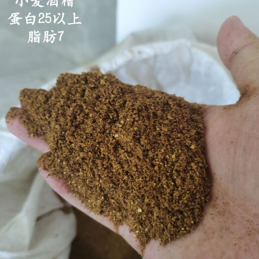 正定县小麦酒糟