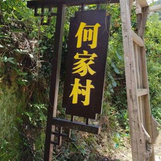连州市潭岭水果，水晶梨批发