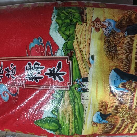东北五常糯米新米 包粽子用的米酿酒江米质量上乘  价格优惠