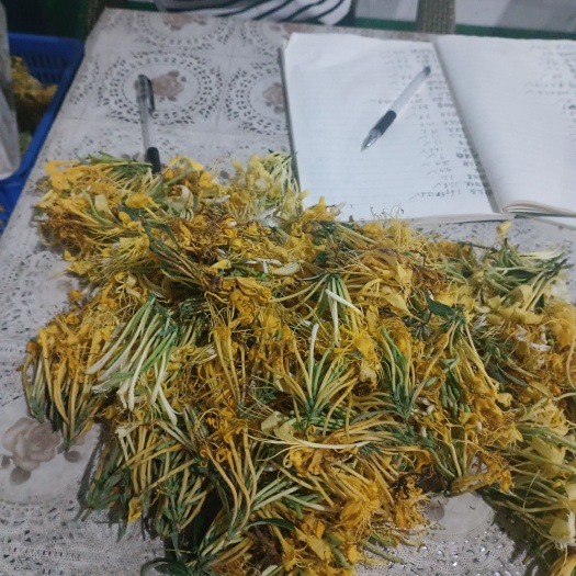 绥阳县金银花根