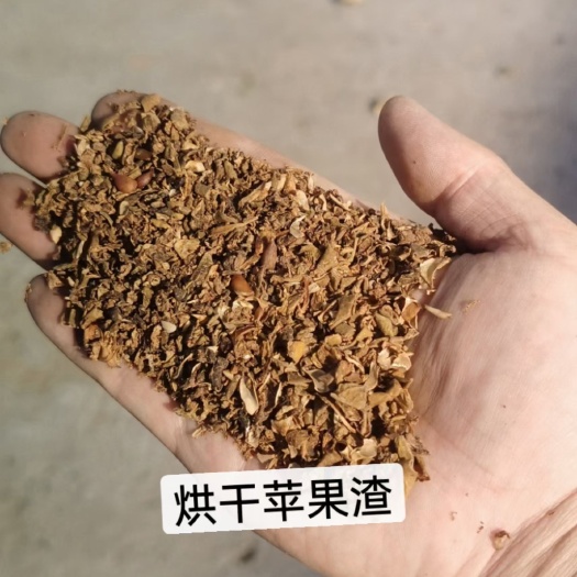 尉氏县苹果渣上市无塑料皮水份I0%左右.超低水分