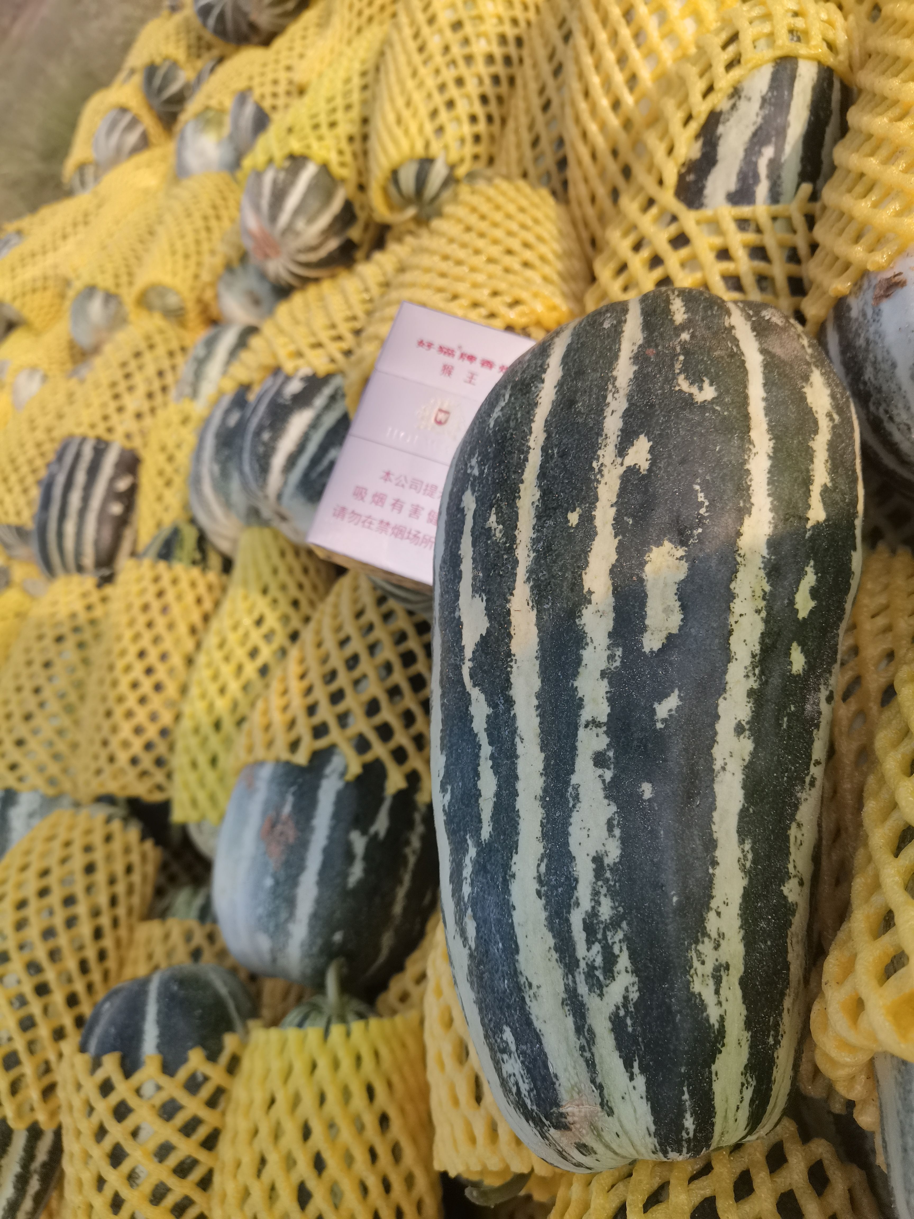 陕西大荔沙苑露天种植甜瓜上市