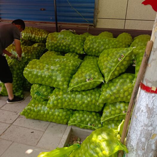 汾阳市汾阳礼品2号