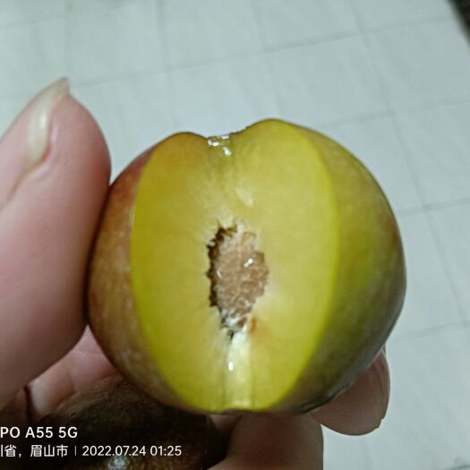 丹棱县脆红李