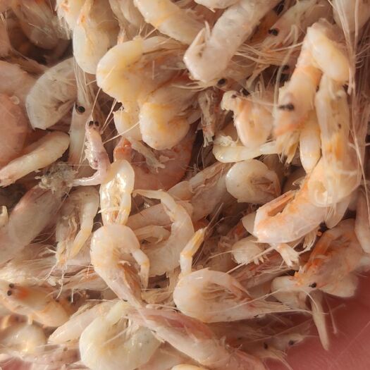 滨州纯红虾，质量很好，新货源，适合炸虾，地摊零售，一首货源，