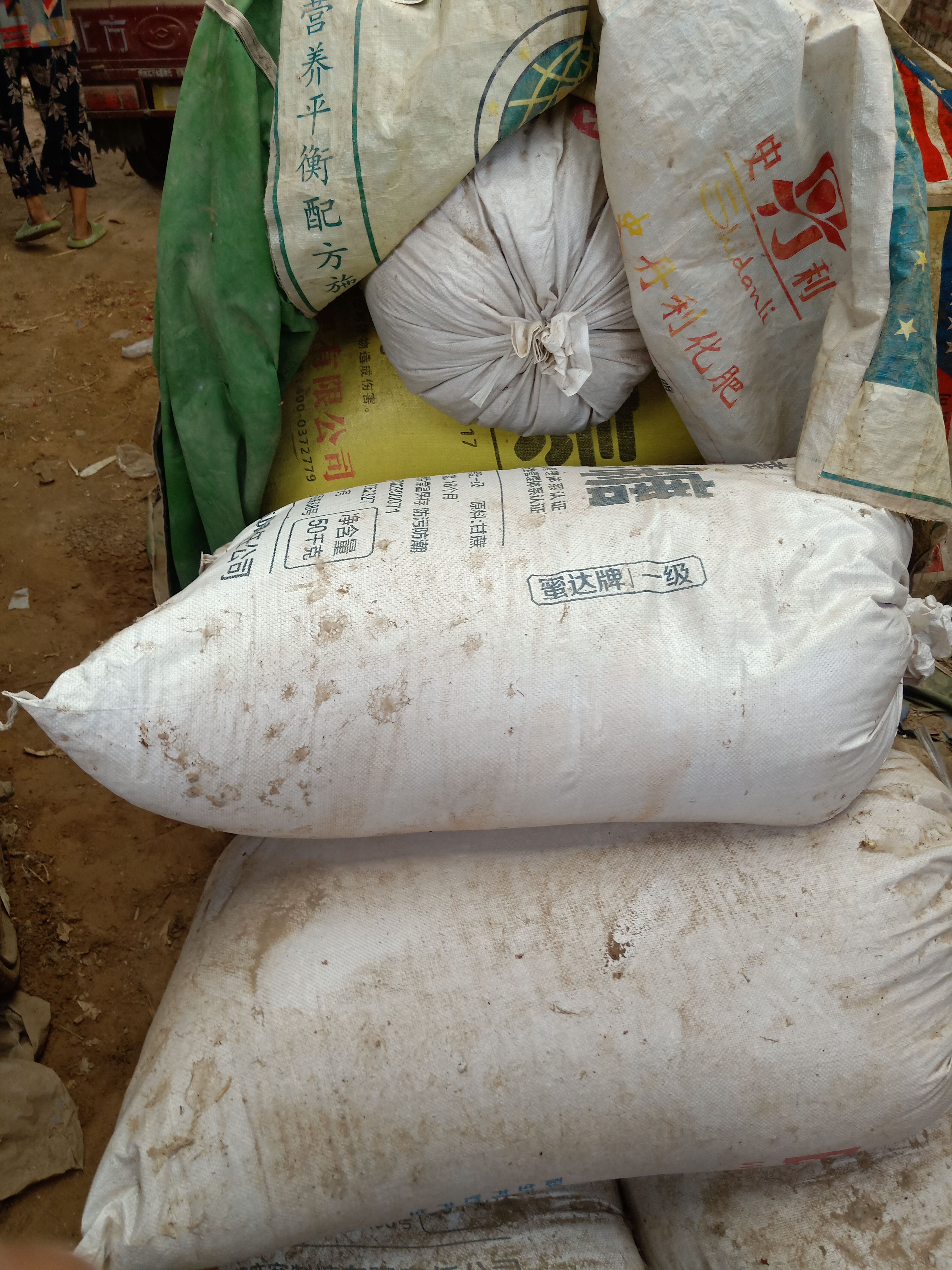 河南原阳2022年优质小麦出售，不出芽好麦