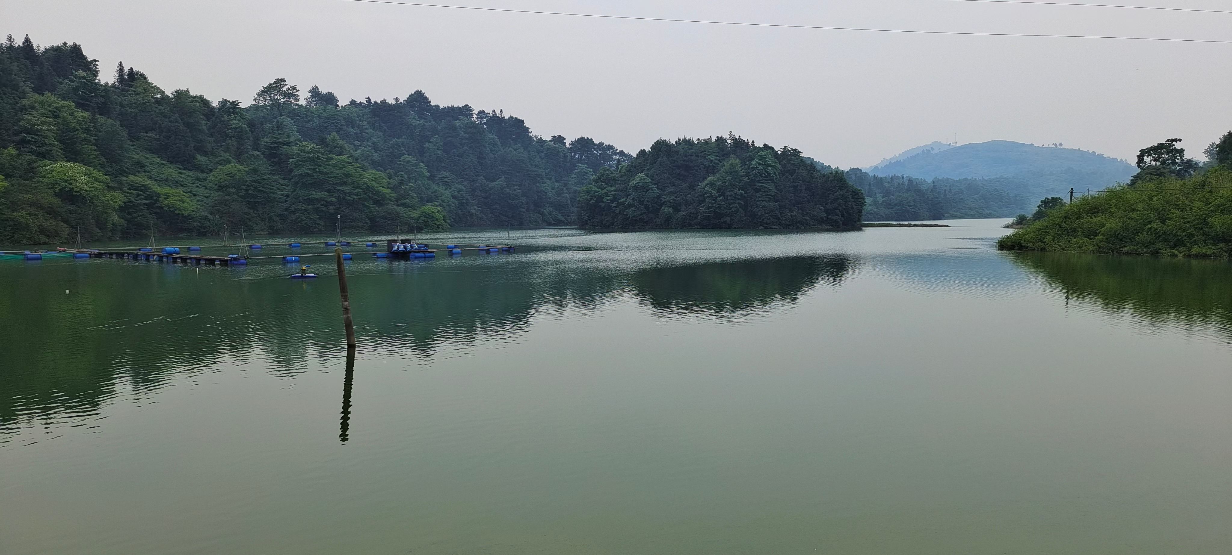 吊水2~8斤生猛翘嘴