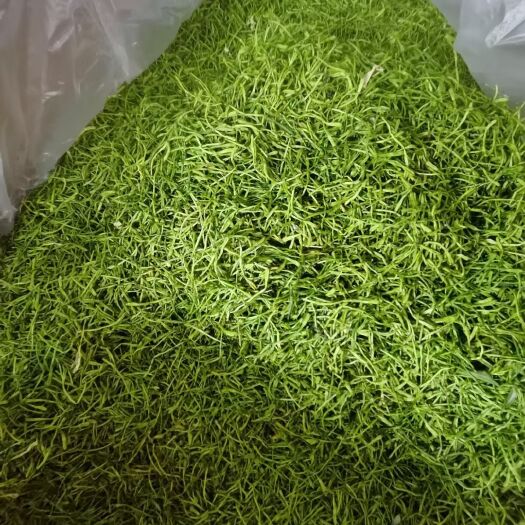 隆回县2024年新货金银花，青茶金银花，全干无硫，绿色花蕾
