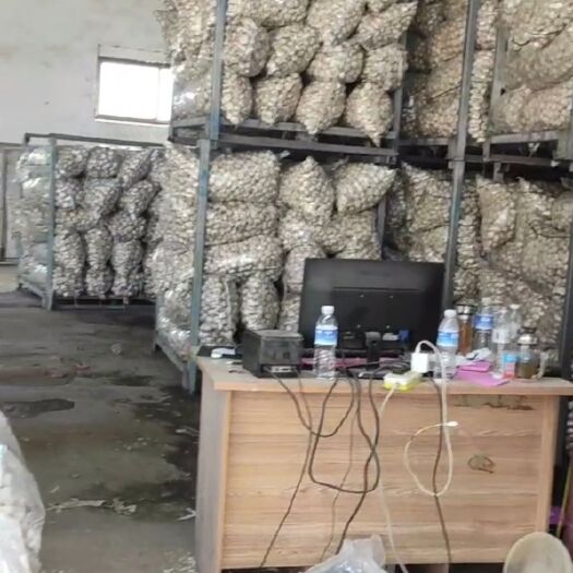 邳州市邳州大蒜  精品