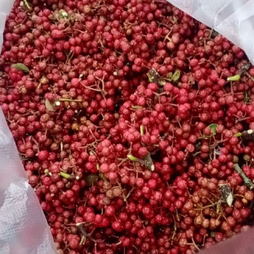 永善县大红袍花椒