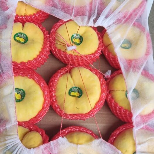 蒙阴县露天黄桃 黄毛蟠桃 黄油桃
