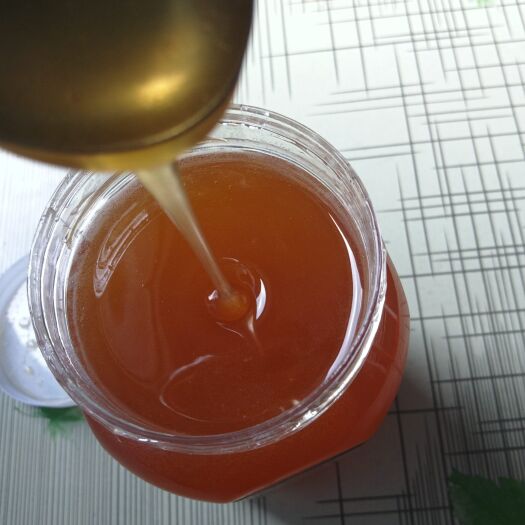 陇南土蜂蜜
